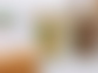 你所不知道的小米料理