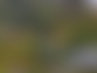 2018年最後的上班上課日,親愛的你(妳)正在返家的路上嗎?