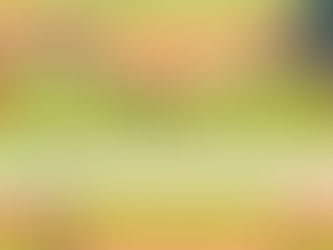週末假期大家都做什麼呢?