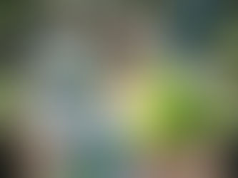 親愛的石石粉粉們,啟程返鄉過年了嗎?