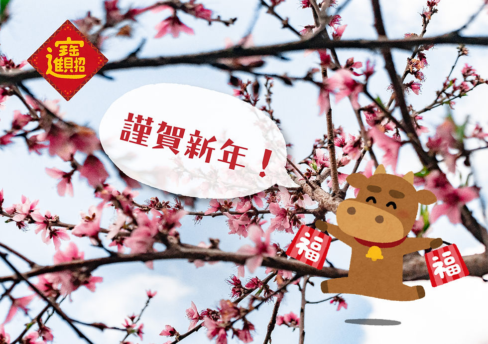 祝福大家2021牛年旺返,牛轉乾坤鼠氣全消(๑˘ ₃˘๑)