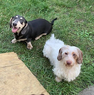 64711158_10213747164664861_4691907069689