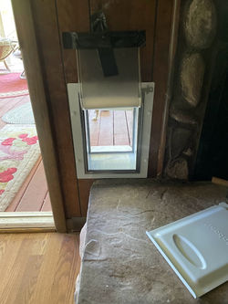 after dog installed from inside