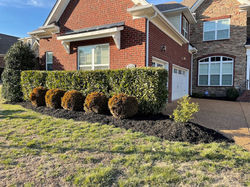 after mulch installed