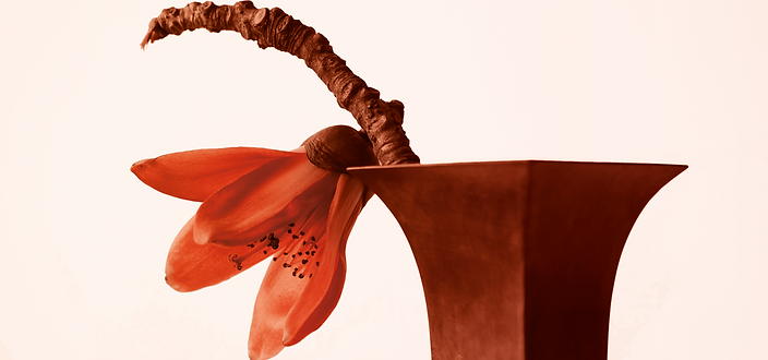 Shivom International Banner-02 (1).png