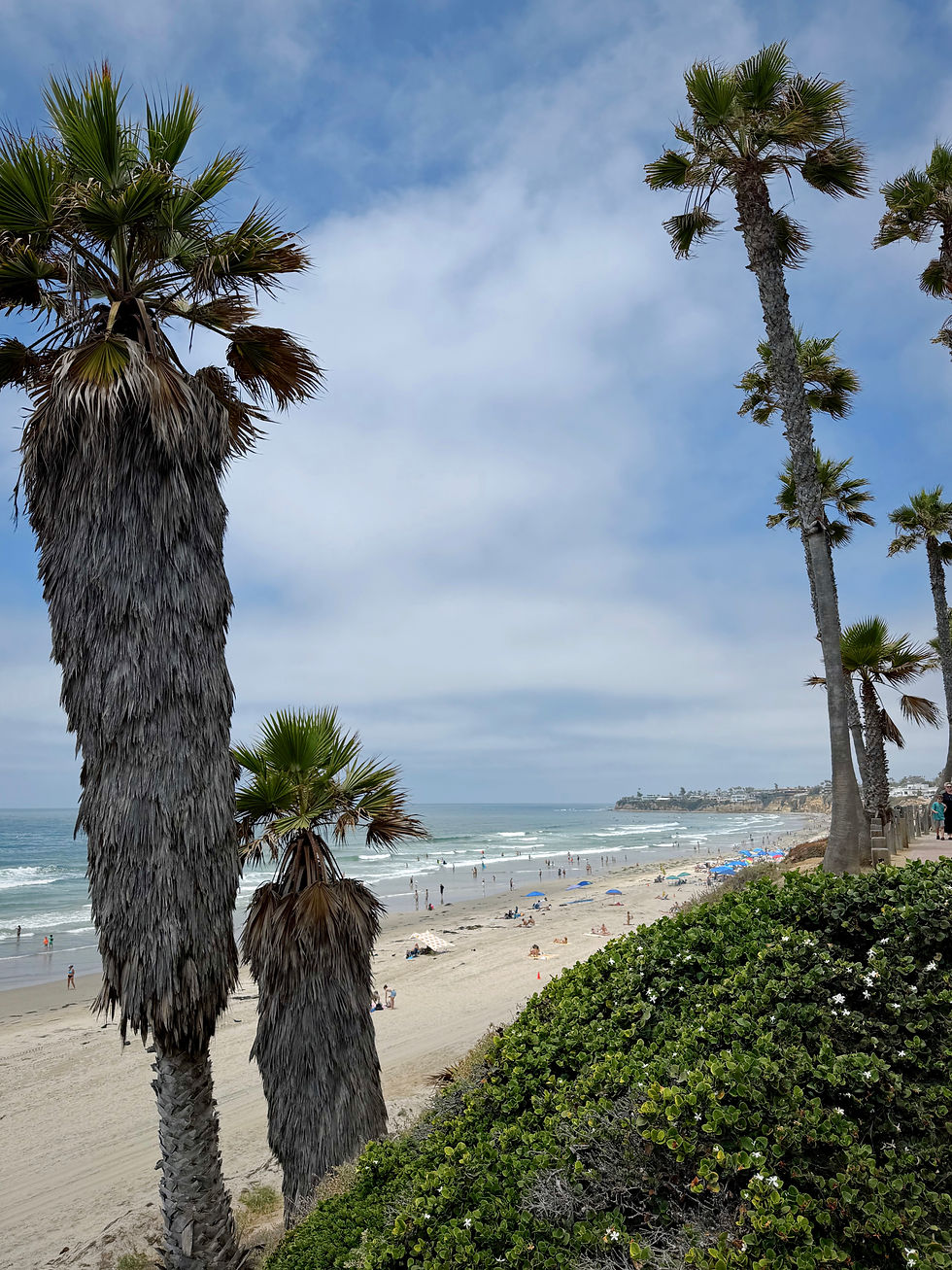 Soak up the sun and surf in PB