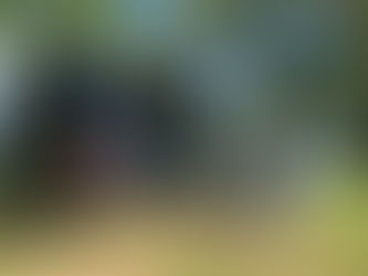 Camper Huren met je Hond: Geniet van een Onvergetelijk Avontuur