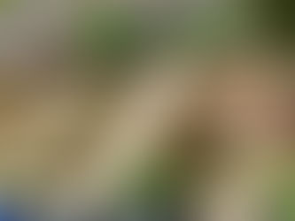 Operação de limpeza e manutenção