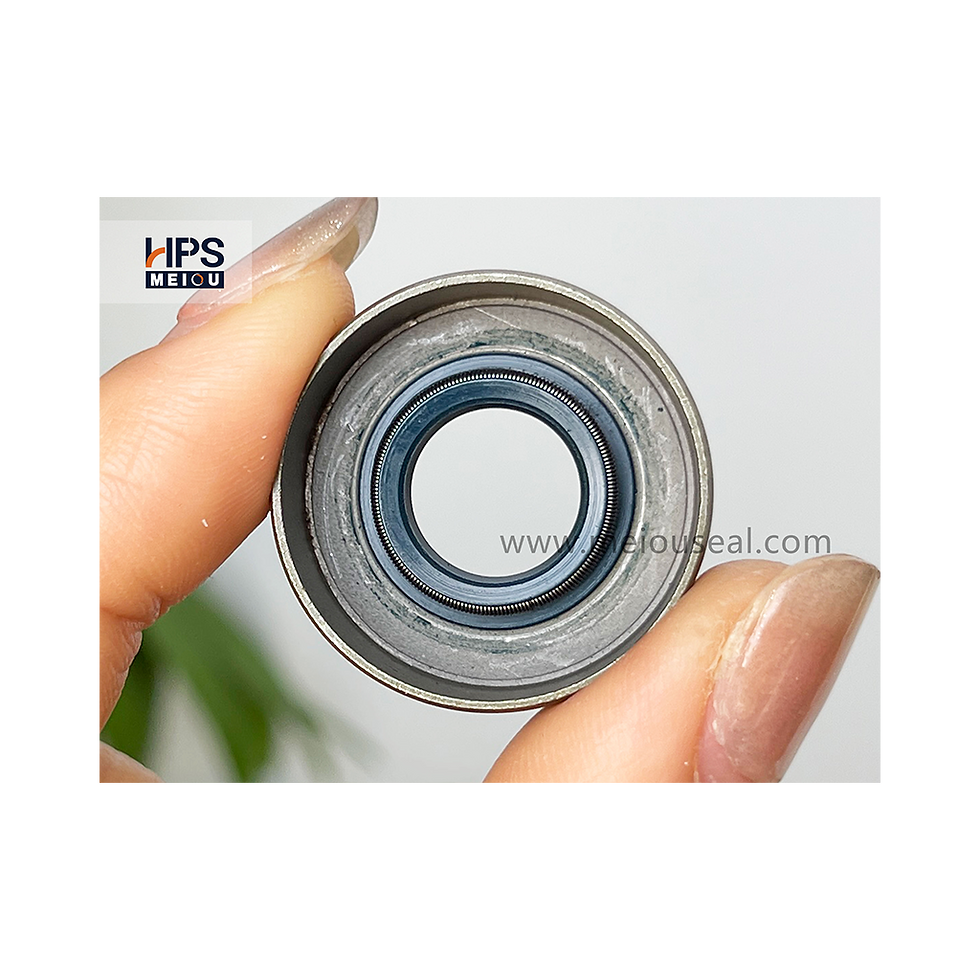 الصورة المصغرة: PRESSURE SHAFT SEAL TBV Seal 11.11-25.4-9.52 NBR