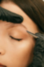 Skin & Artistry - Brow Work Image