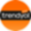trendyol.png