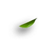 Teeblatt12