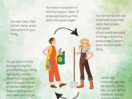 What is a CSA?