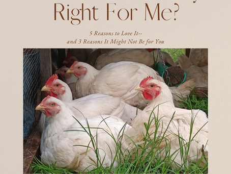 Is Pastured Poultry Right for Me?