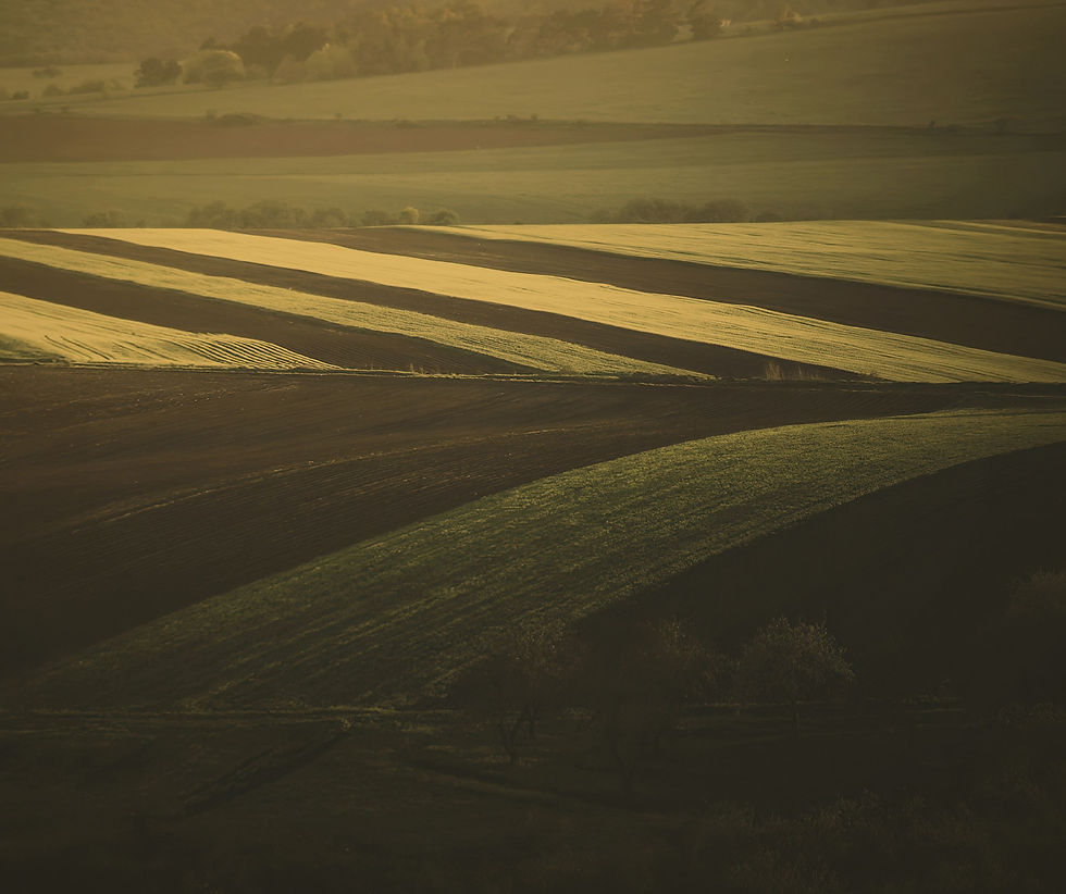 Thumbnail: Rolling Hills