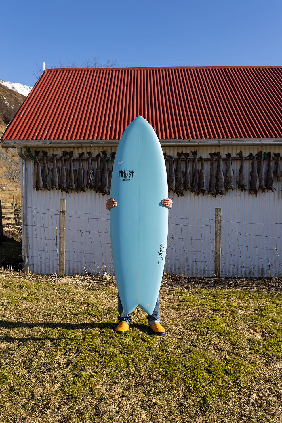 Thumbnail: RETRO FISH 5'10