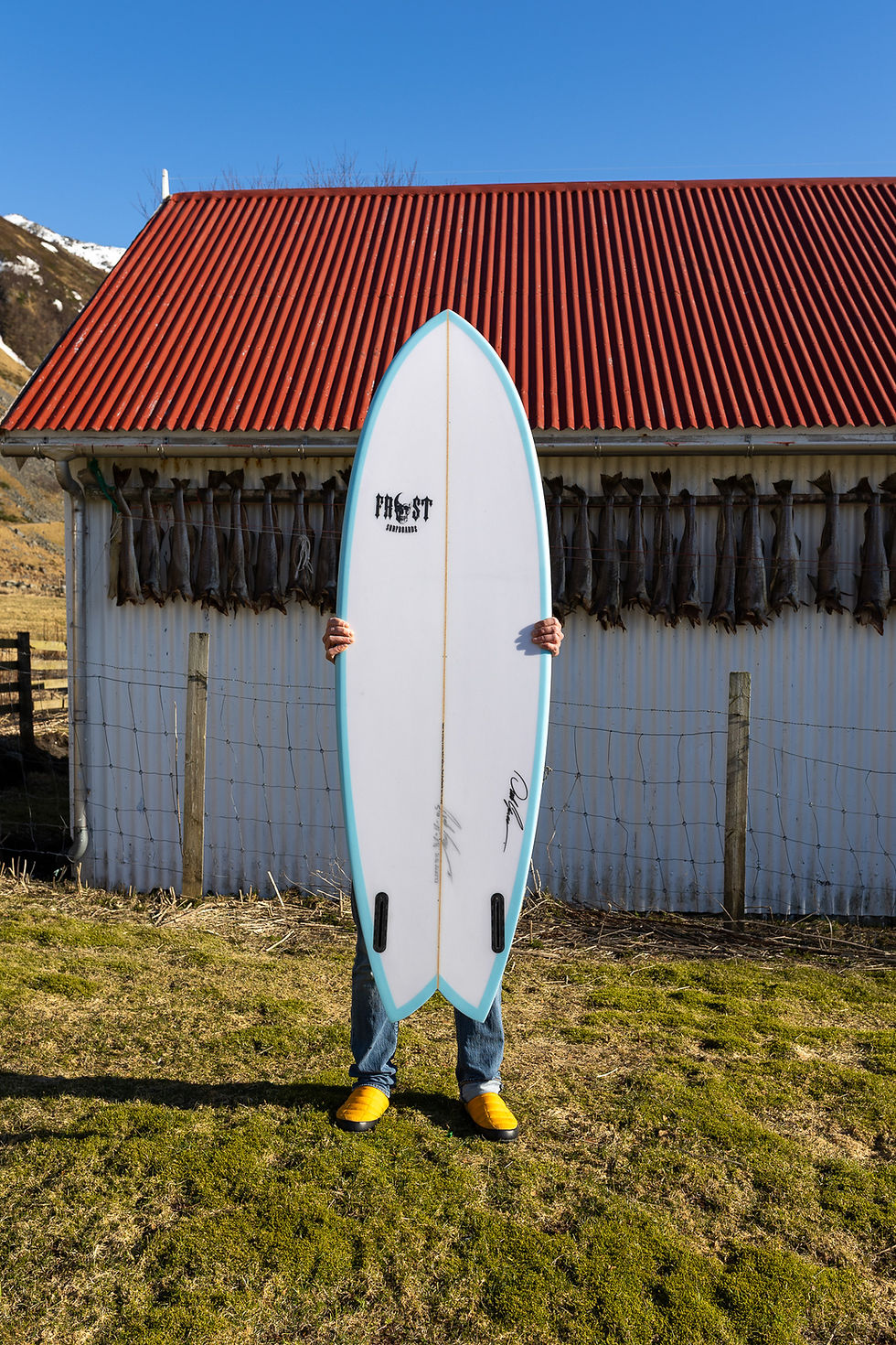 Thumbnail: RETRO FISH 5'10