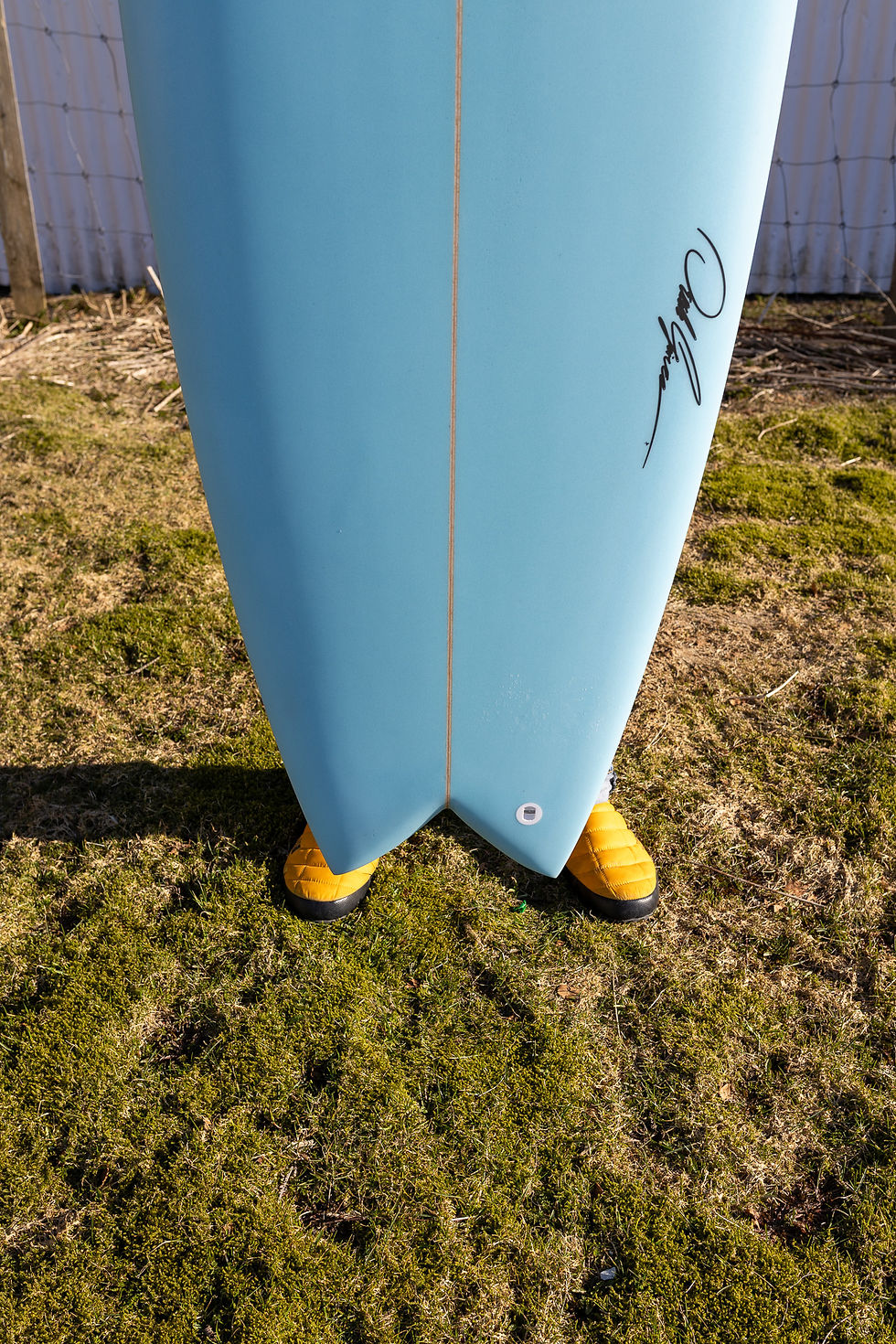 Thumbnail: RETRO FISH 5'10