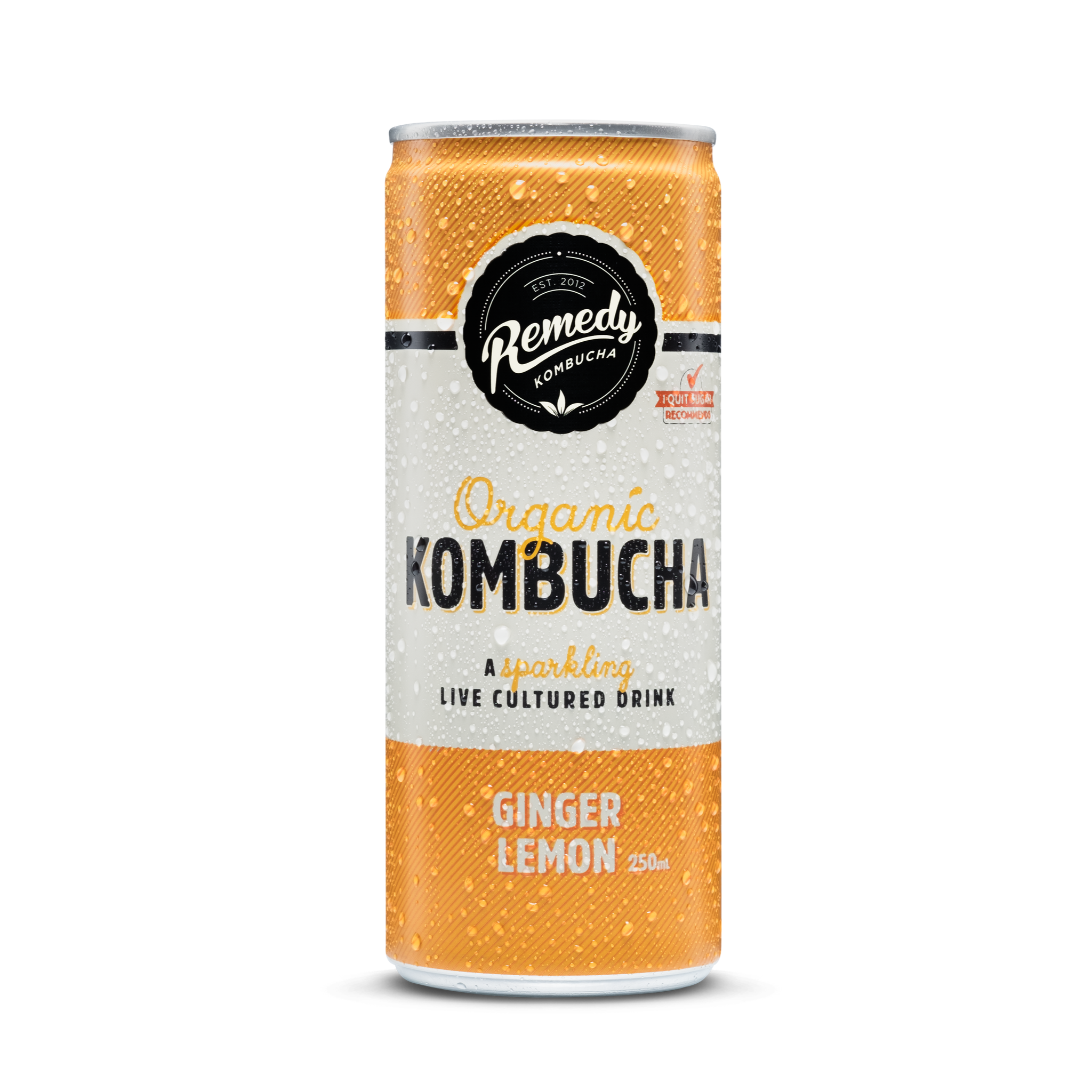 Remedy - Ginger Lemon Kombucha (250ml x 24)