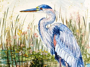 2026 Korinne Carpino September Reference Picture grace in the marsh_blue heron.jpg