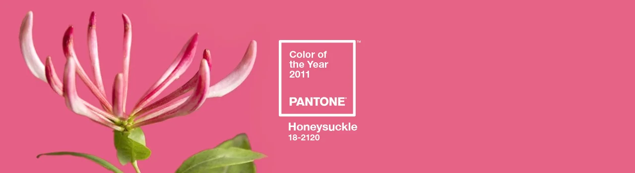 Pantoneประจำปี