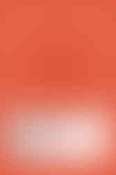 Pantone of the year