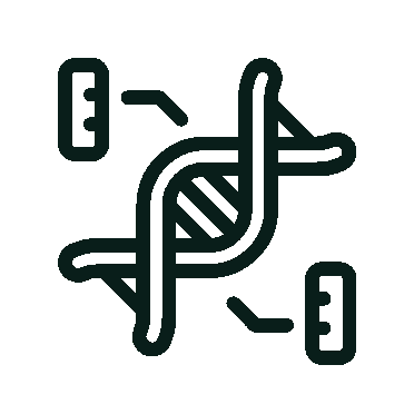 genetic.gif