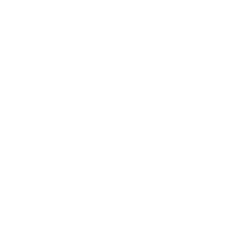 palm bay (1).png