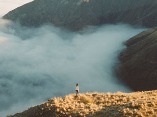 Content Creation for businesses in Tauranga