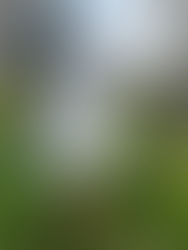 Maggie Rose Children's Clothing Flash Sale