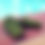 Thumbnail: Black / Green Grass Flip Flops