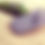 Thumbnail: Black / Green Grass Flip Flops