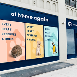 at home again carousel-02.png