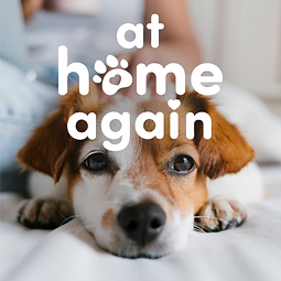 at home again carousel-06.png