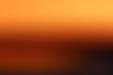 Camargue Flamingos, Sony 400mm