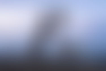 Regenwetter in der Camargue