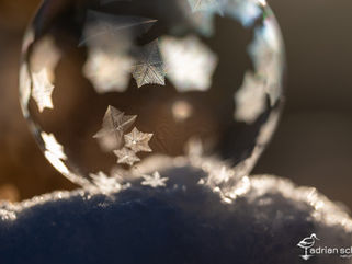 gefrorene Seifenblasen, Makrofotografie, Fotografie im Winter, Kalte Temparaturen