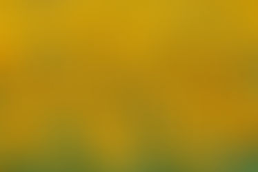 Sommerbilder