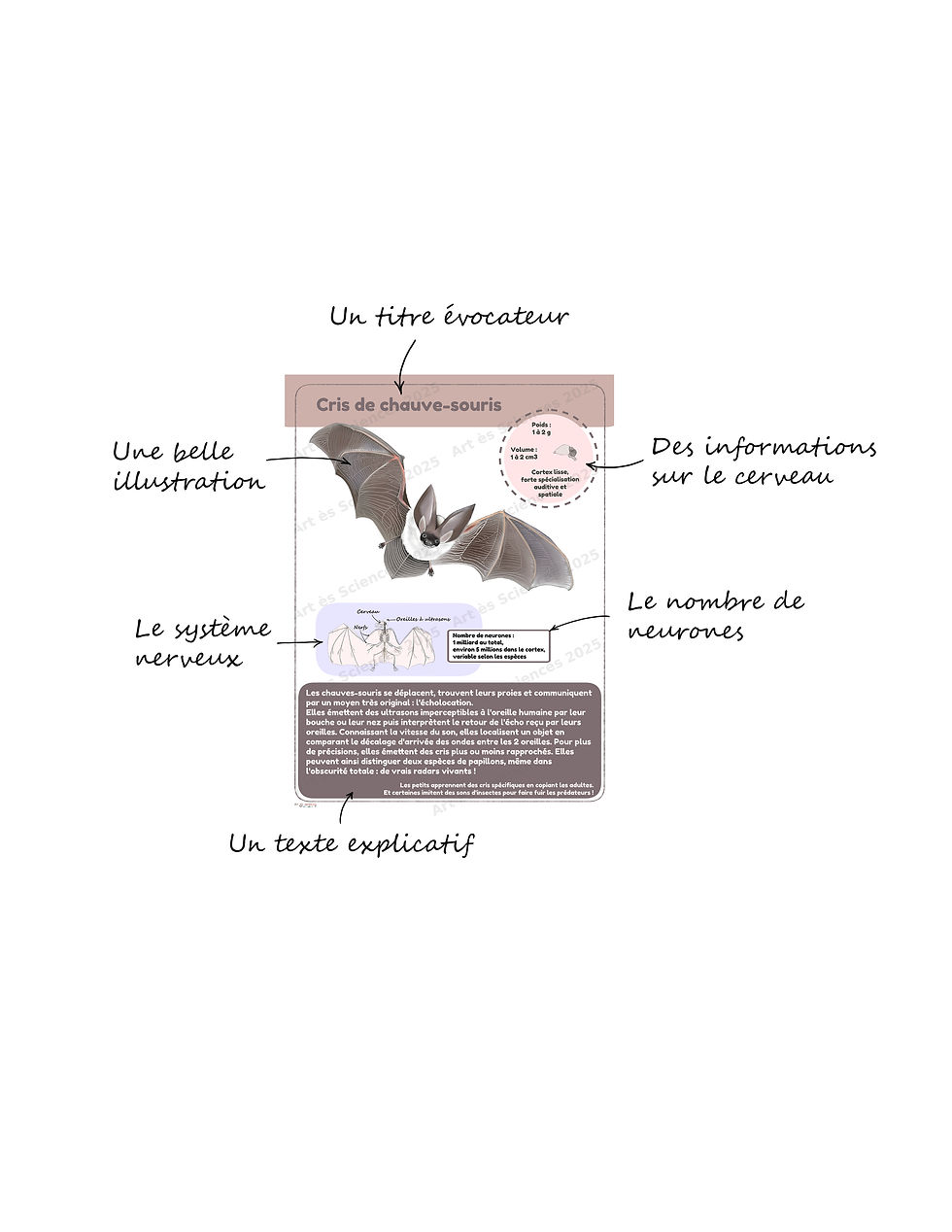 Miniature : Kit 10 affiches Intelligences Animales