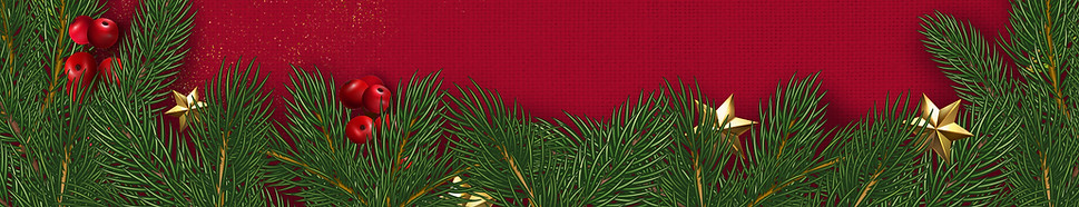 Christmas Decorations