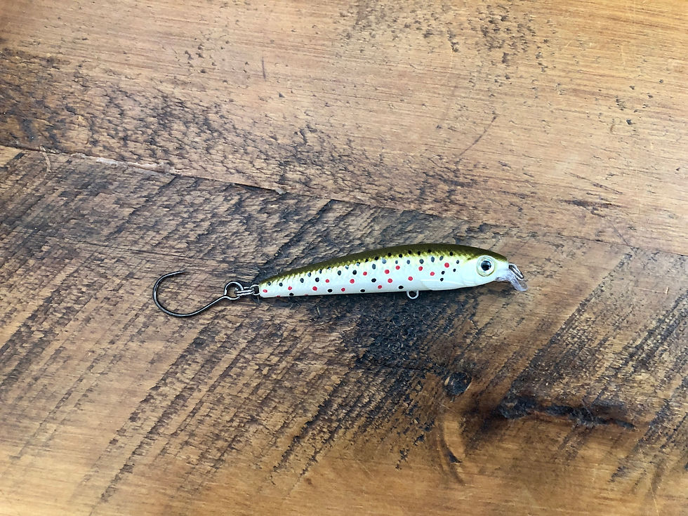 Rapala Ultra Light Minnow Lure.