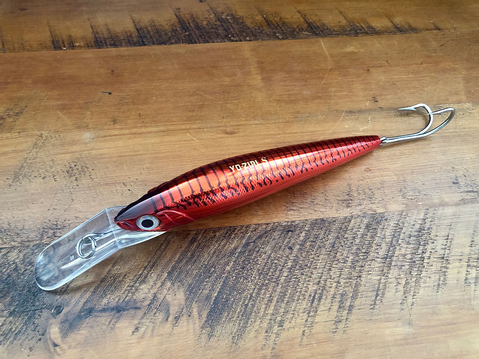 Yo Zurii 3D Hydro Magnum 180mm Trolling Sinking Lure.