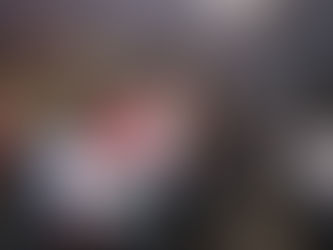 Con la rifa de un carro, Congreso se suma con corazón y solidaridad a la kermés de la familia