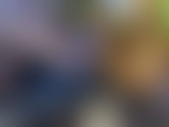 Salud Pública verificó alimentos en la romería