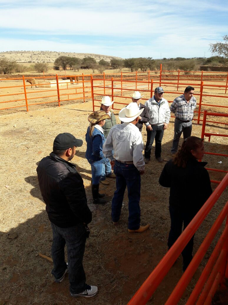 Desarrollo Rural acude a Las Huertas a supervisar entrega de obras (2)