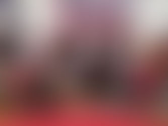 Durango ya tiene se le representantes en breaking