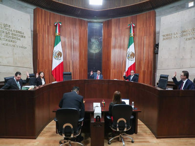 Revoca TEPJF obligación de renunciar a quienes aspiren a cargos partidistas en Morena