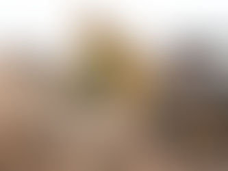 Ficha Informativa: Derriba Municipio ladrillera