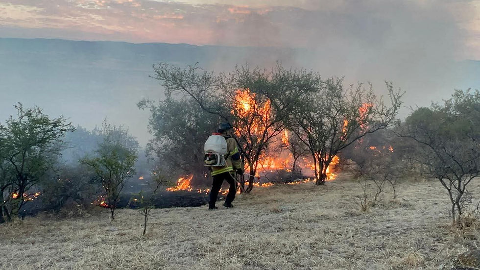 Bomberos de Santiago Papasquiaro atienden incendio forestal