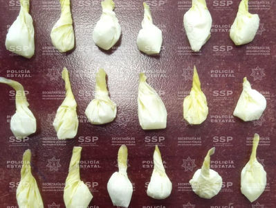 Se quiso fugar porque traía droga, pero lo atraparon los Estatales.